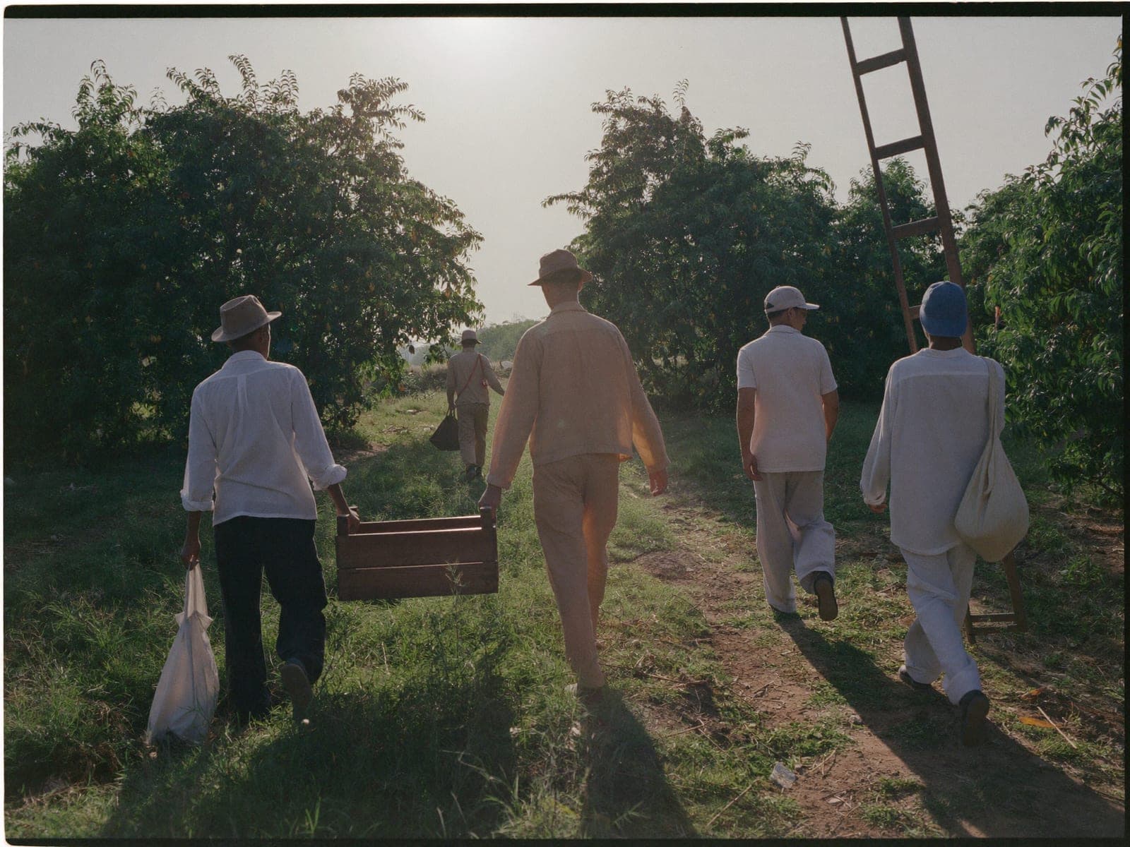 Orchard crew in green uniforms reading Care, Respect, Dignity, carrying crates of mangoes
