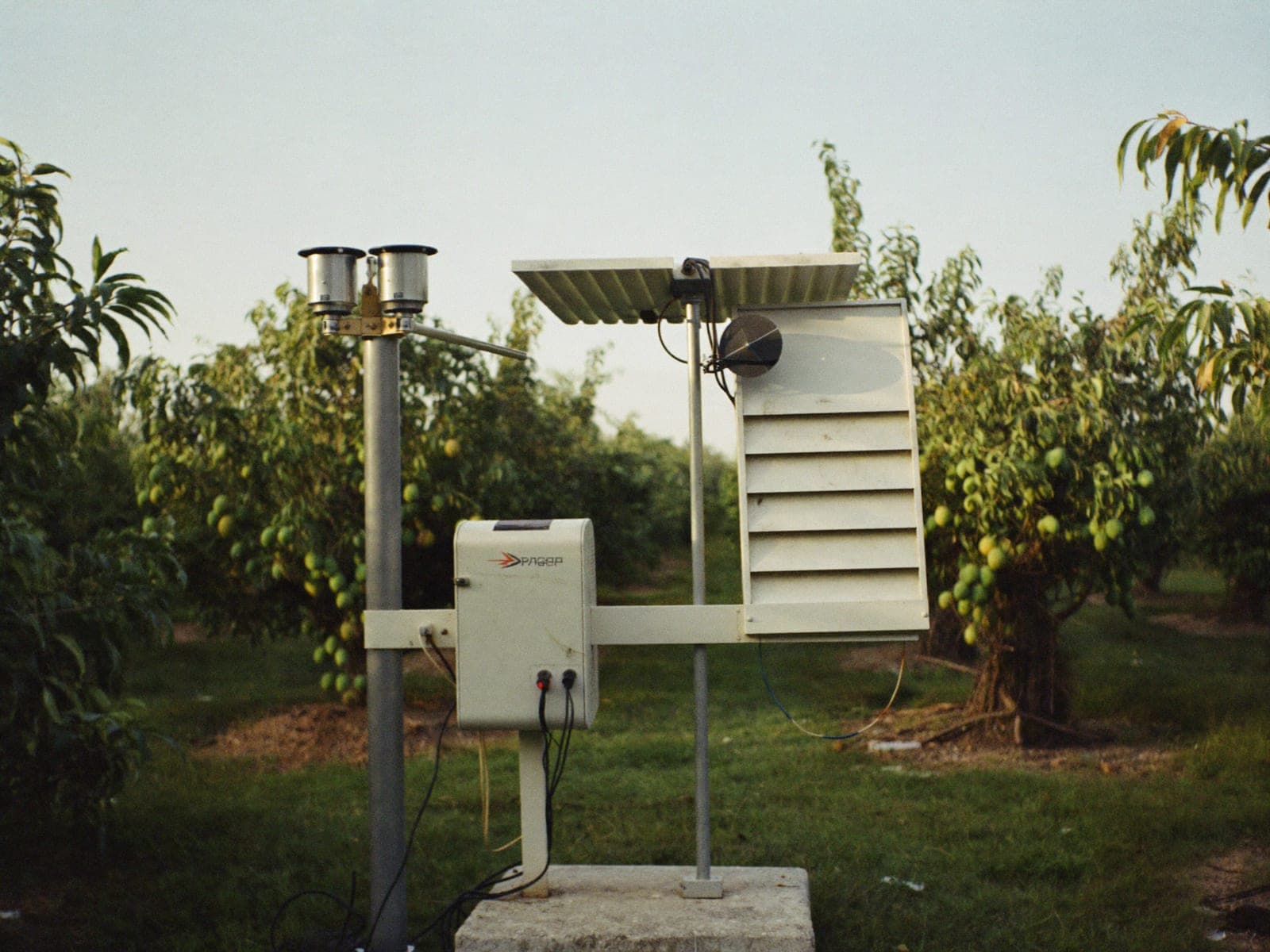 A solar-powered weather station standing over the orchard rows