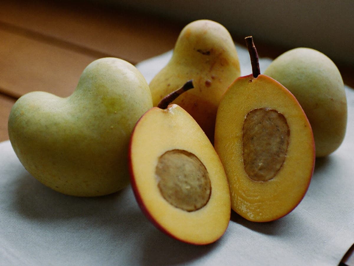 Four small Anwar Ratol mangoes on pale cloth, pale green to yellow with red-tinged shoulders and short stems, two of them halved to show dense golden flesh around a small stone.