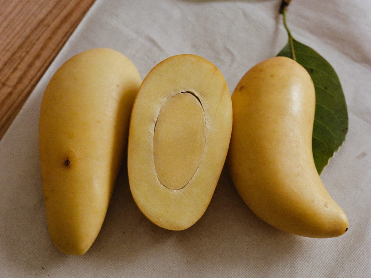 Three Dusehri mangoes on cream cloth beside a mango leaf: elongated and curved with uniform pale yellow skin, the middle one sliced flat to show firm light yellow flesh and a slim stone.